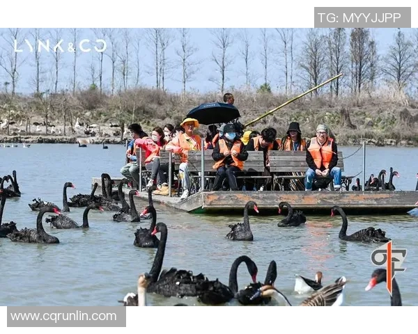 周磊专访：畅谈飞盘运动的发展与个人成长历程