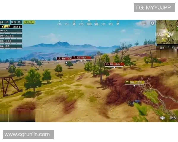 和平精英竞技心理分析：RNG战队的心理素质与表现探讨