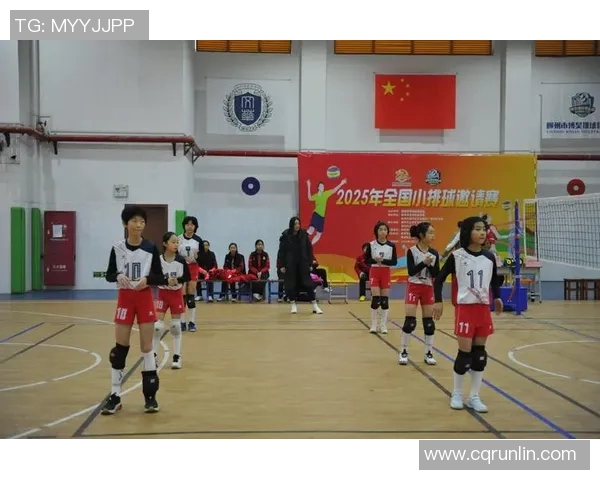 成都排球队表现卓越最新排球状态TOP10榜单揭晓