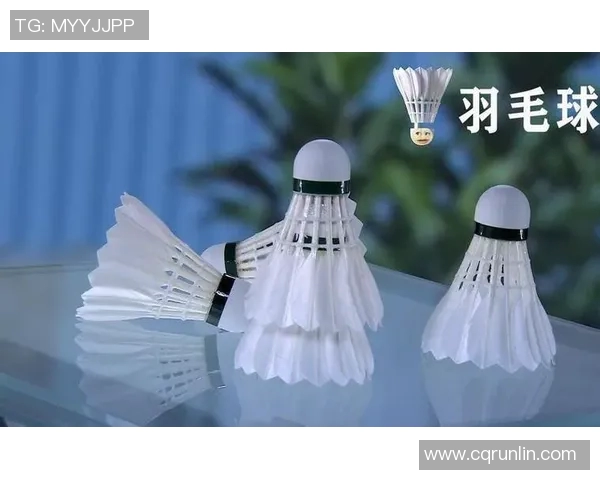 深圳羽毛球队的蜕变之路与深度解析羽毛球运动的未来发展