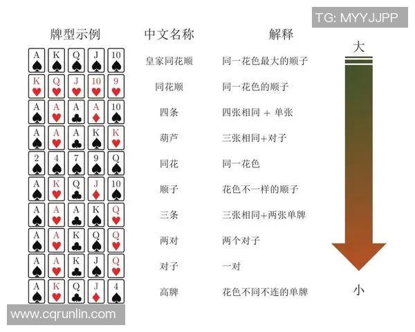 独家解析JDG战术演变与对手策略的深度对比分析