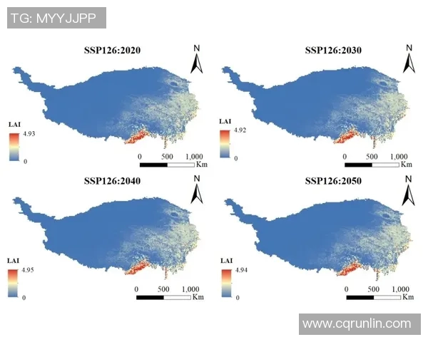 亚马尔地区的地缘政治变迁与能源战略的未来展望分析